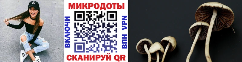 даркнет сайт  Бирюч  Псилоцибиновые грибы прущие грибы 